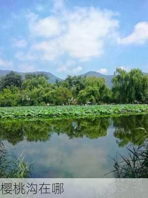 樱桃沟在哪