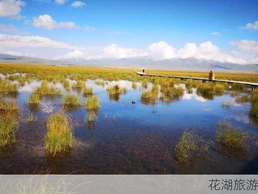 花湖旅游