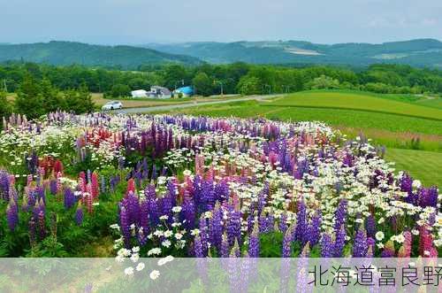 北海道富良野