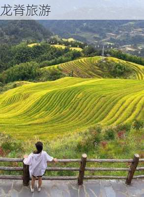 龙脊旅游