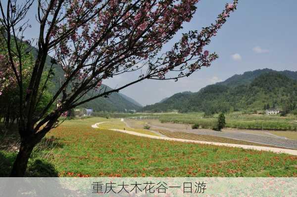 重庆大木花谷一日游