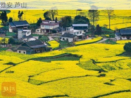 雅安 芦山