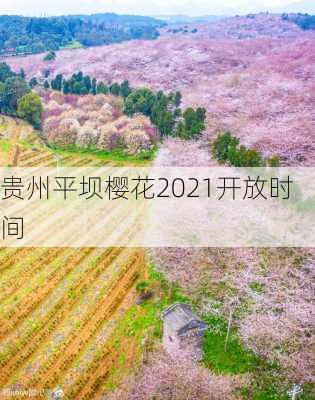 贵州平坝樱花2021开放时间