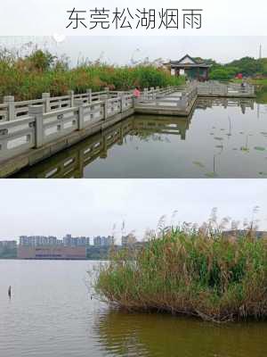 东莞松湖烟雨