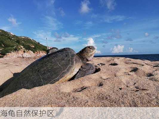 海龟自然保护区