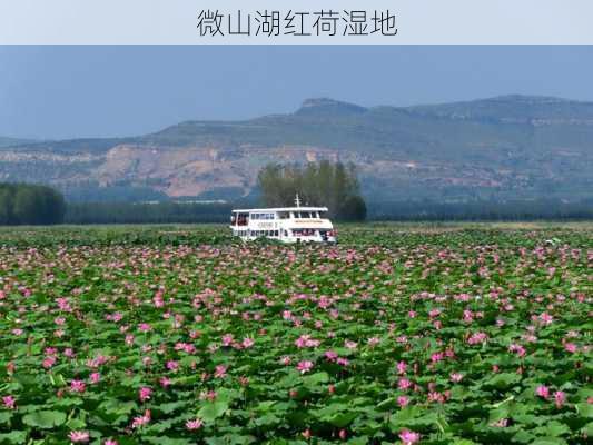 微山湖红荷湿地