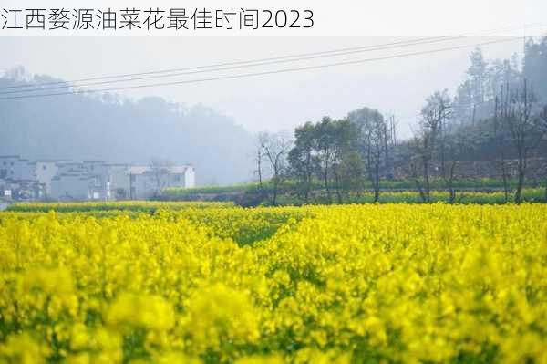 江西婺源油菜花最佳时间2023