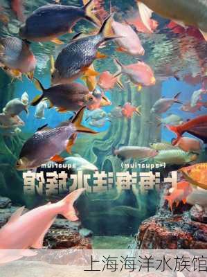 上海海洋水族馆