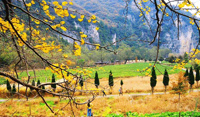 水没坪村