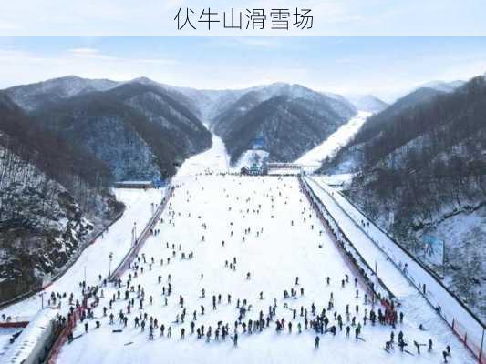 伏牛山滑雪场