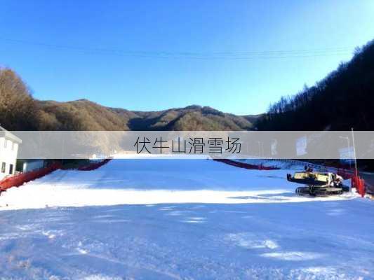 伏牛山滑雪场