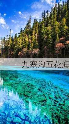 九寨沟五花海