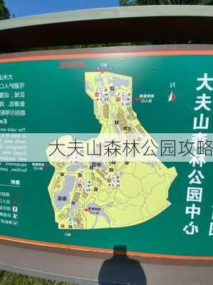 大夫山森林公园攻略