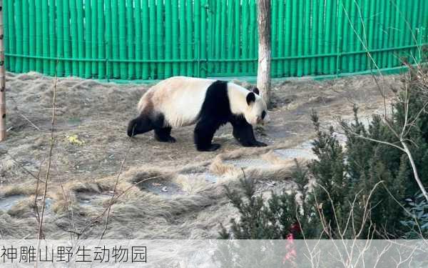 神雕山野生动物园