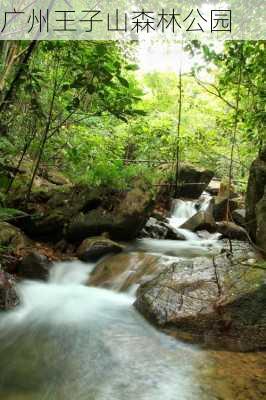 广州王子山森林公园