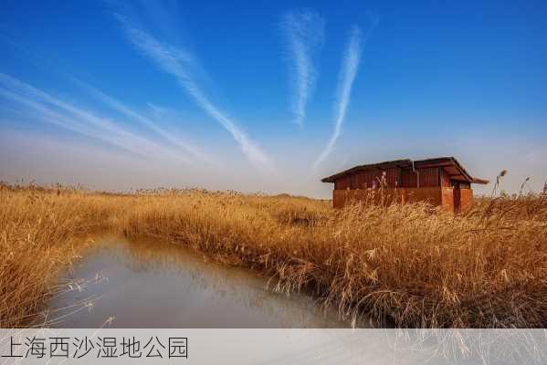 上海西沙湿地公园