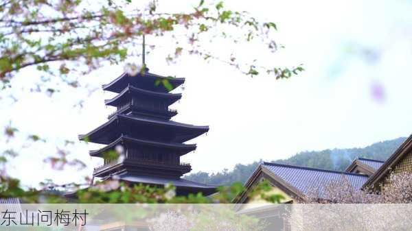 东山问梅村