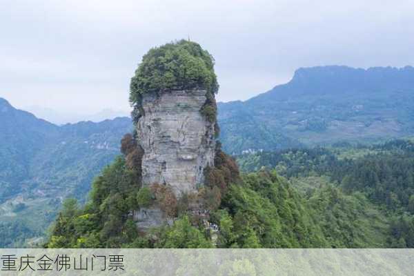 重庆金佛山门票