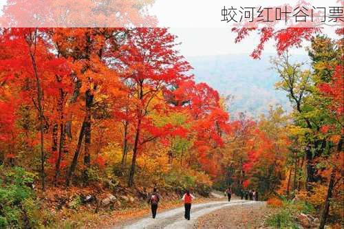 蛟河红叶谷门票