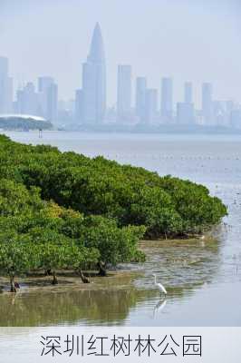 深圳红树林公园