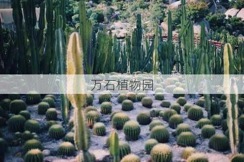 万石植物园