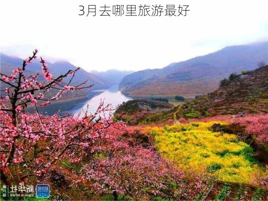 3月去哪里旅游最好