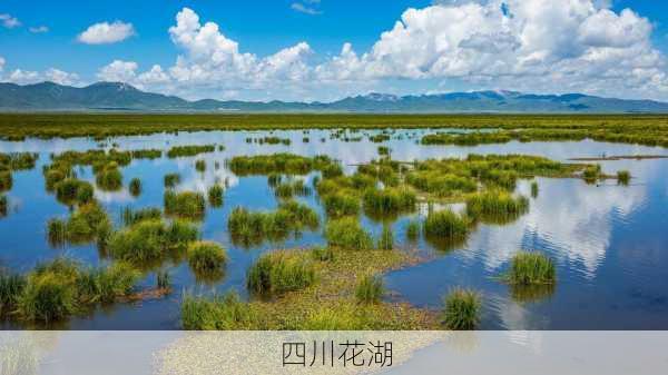 四川花湖