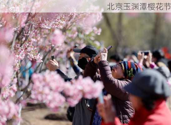 北京玉渊潭樱花节