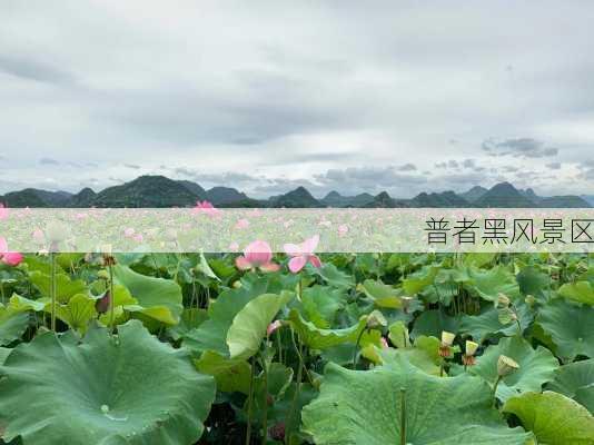 普者黑风景区