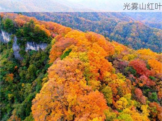 光雾山红叶