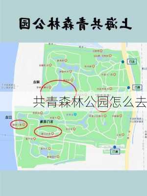 共青森林公园怎么去