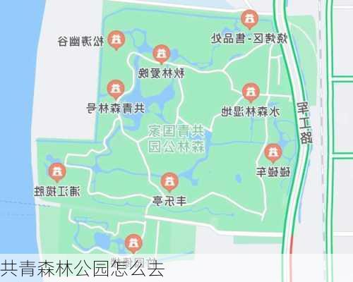 共青森林公园怎么去