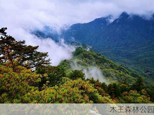 木王森林公园