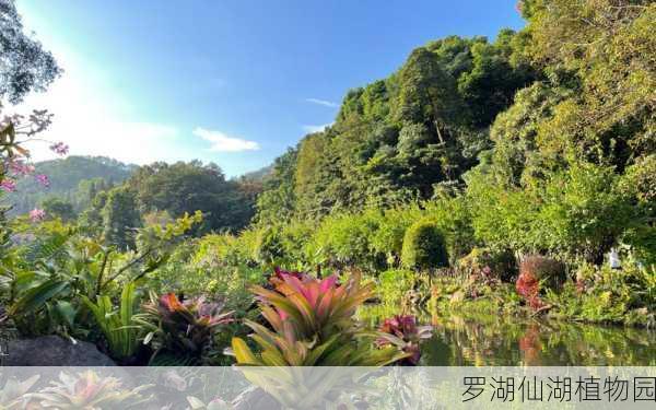 罗湖仙湖植物园