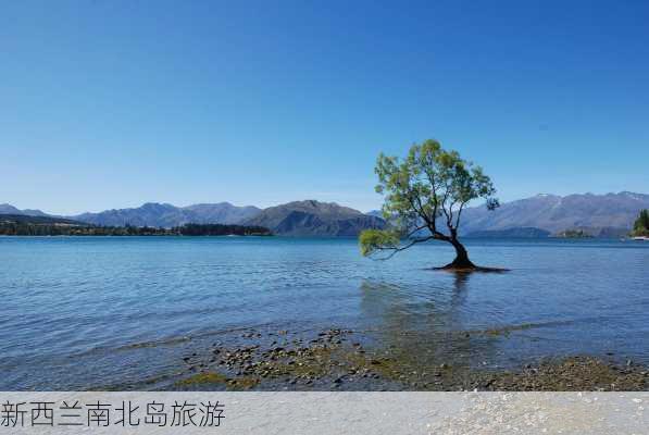 新西兰南北岛旅游