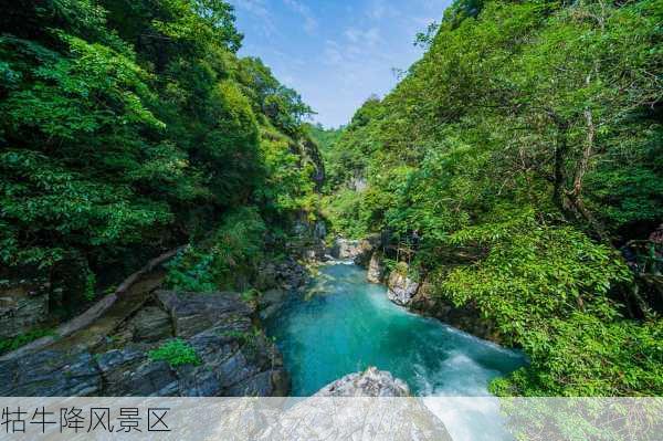 牯牛降风景区