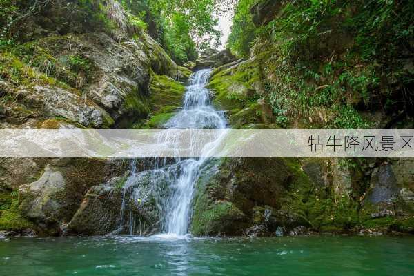 牯牛降风景区