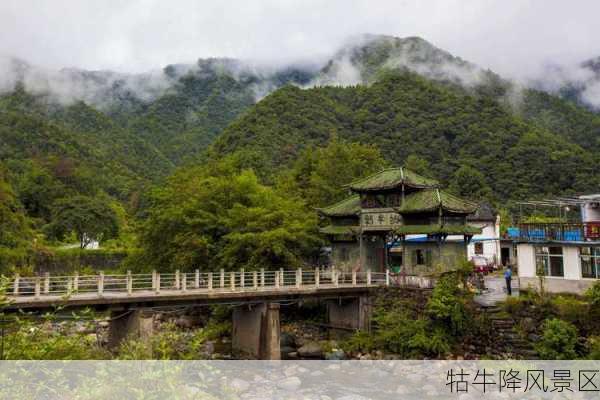 牯牛降风景区