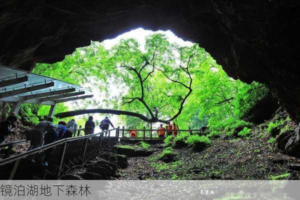 镜泊湖地下森林