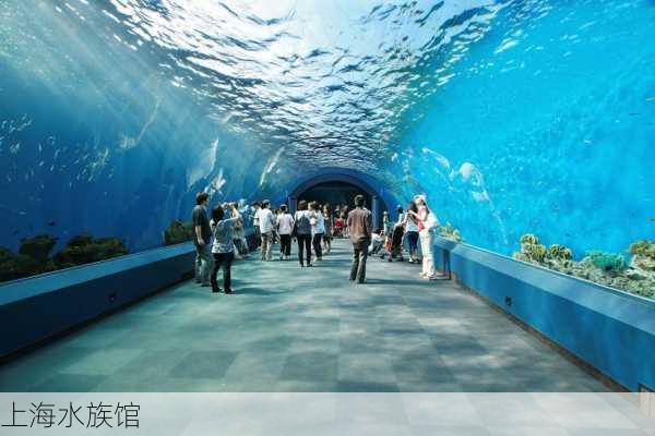 上海水族馆