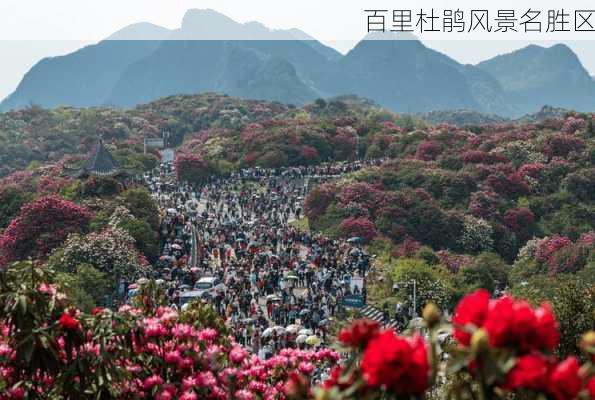 百里杜鹃风景名胜区