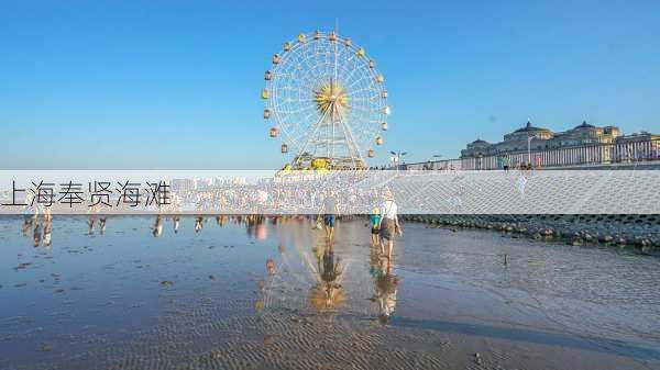 上海奉贤海滩