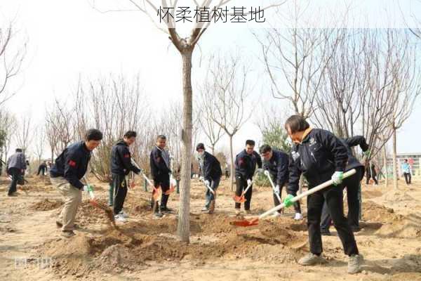 怀柔植树基地