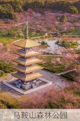 马鞍山森林公园