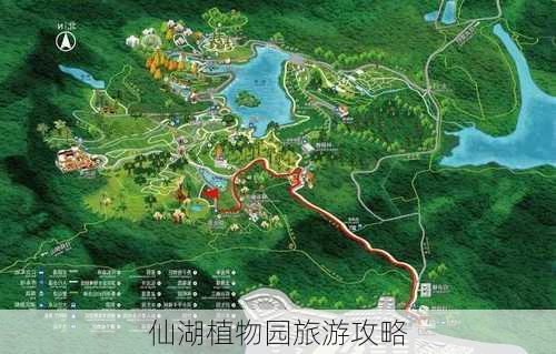 仙湖植物园旅游攻略