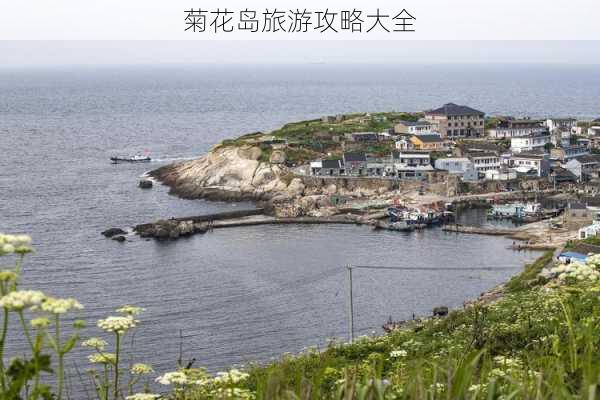 菊花岛旅游攻略大全