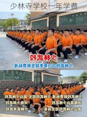 少林寺学校一年学费