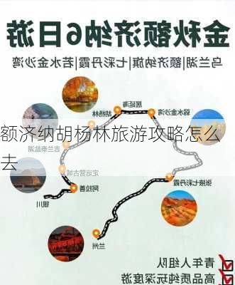 额济纳胡杨林旅游攻略怎么去