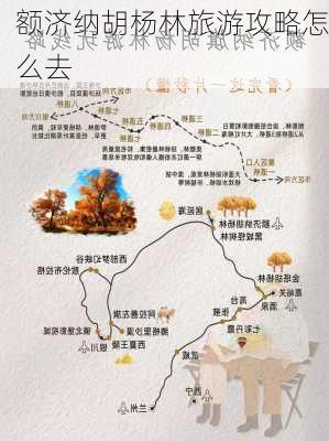 额济纳胡杨林旅游攻略怎么去