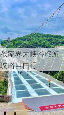 张家界大峡谷旅游攻略自由行